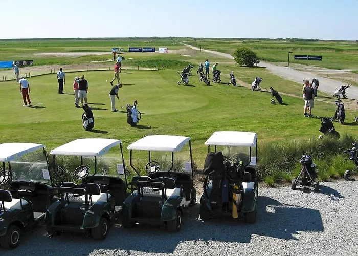 8 Person On A In Romo